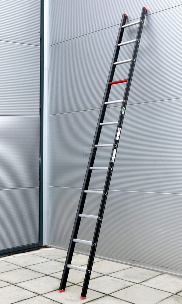 Ladder Nevada