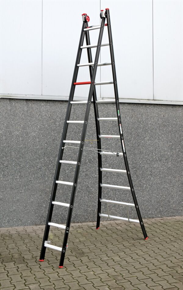 Ladder Nevada