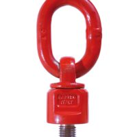 Cartec grade 80 Type 800 Oogschroefbouten met ring, wartelend